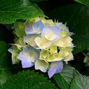 HASSAN ALSHAMRANI (@0551369993) Twitter