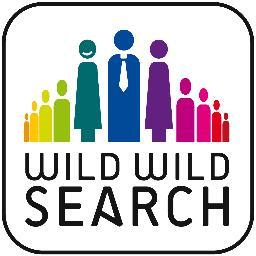 Wild Wild Search, chasseur de têtes spécialisé en digital, data et High Tech et conseil en Digitalisation RH
