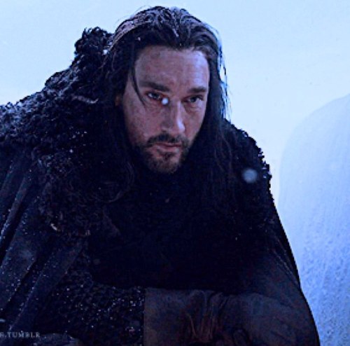 IceKingBenjen's profile picture. Benjen Stark, former first ranger of he 'Nights Watch'. Now leader of the Others, ready to bring eternal darkness to the Westeros! Affiliated with the cold!