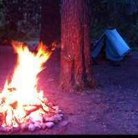 Rathfarnham Scouts (@31strathfarnham) 's Twitter Profile