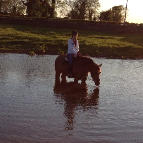 ellen_holloway's profile picture. 