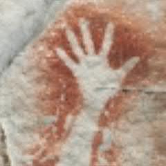 BrowsingRhino's profile picture. Author of multi-genre novels. 
Browsing Rhinos never feed from the ground, they always reach for the highest branches