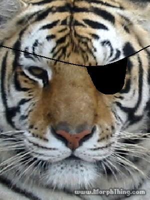 SilentTiger_RPX's profile picture. Pen and Paper RPG lover;
Multi-Cat Owner & Movie Watcher;
Sci-Fi/Fantasy Enthused