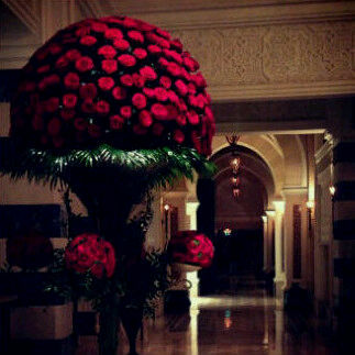 ﺃﺅﻣﻦ ﺑﺄﻥ ﺍﻻ‌ﻣﻞ ﺧﻴَﻂ ﺩﻗﻴﻖ ﺟﺪﺍً ﻟﻜﻨﮧَ ﻻ‌ ﻳﻨﻘﻄﻊ