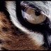 Khaled (@kim9373) Twitter profile photo Khaled (@kim9373) Twitter profile photo