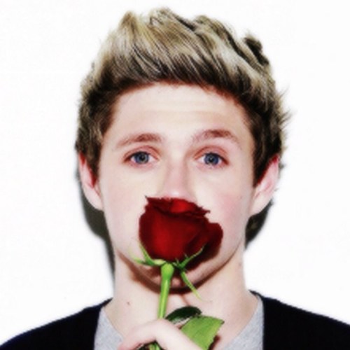 Here to support 1D forever!!!! 0/5 :( Me and Niall are secretly married! #Directioner #Mixer #Belieber #Brat