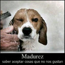 ender manuel abarca  - @endermanuelabar - Twitter