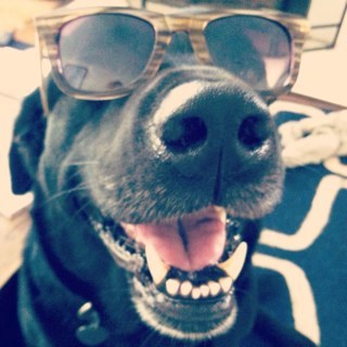 tski36's profile picture. 