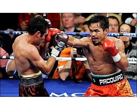 crackdown2424's profile picture. 