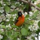 Sandy Newton - @sandynewton500 - Twitter