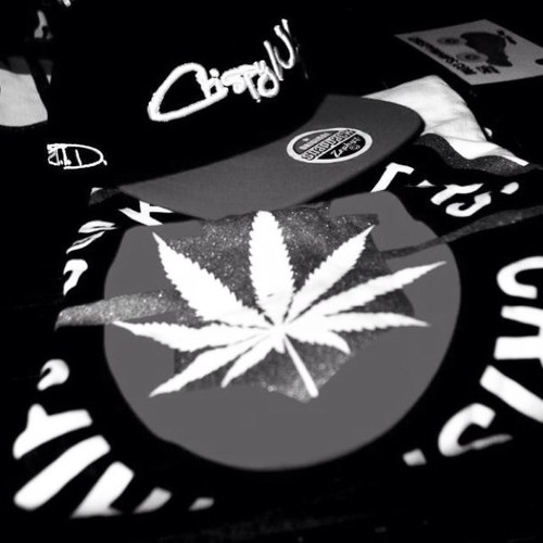 CRISPY WHIPS - SKATEBOARDS - SNOWBOARDS - APPAREL
