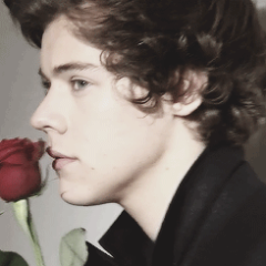 hey im Emma.  If your nice to me im nice back.  0/5 follow.  I follow all directioners back x