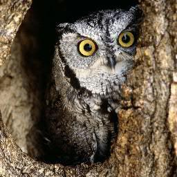 xyz_guncontrol's profile picture. 