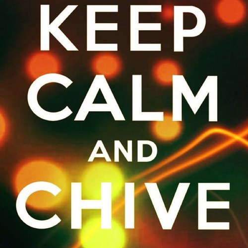 IDressMyself91's profile picture. Perfect Yourself.
Madison, Wisconsin
UW-Whitewater