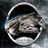 quino251's profile image