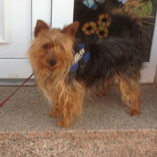 charles_lett's profile picture. 