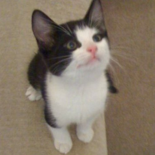 Fazk21's profile picture. 