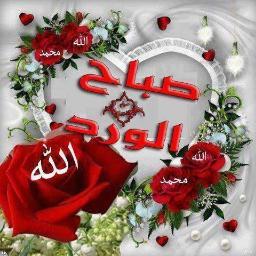 السلام عليكم ورحمة الله وبركاته