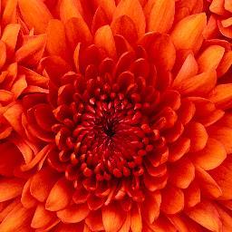 KatrKathrine's profile picture. Hey, I'm Katrina and is a fun and beautiful girl and comes from Denmark