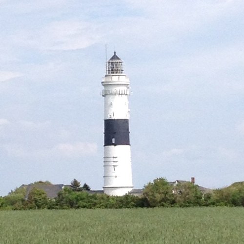 nicolepueschel's profile picture. 