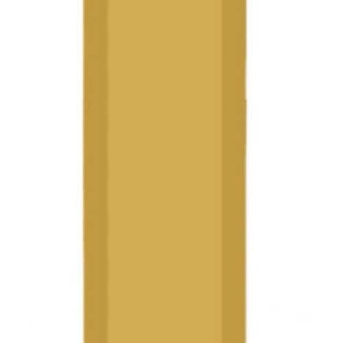 LiamPpenis Profile Picture