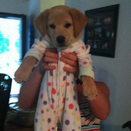 interrobang711's profile picture. 