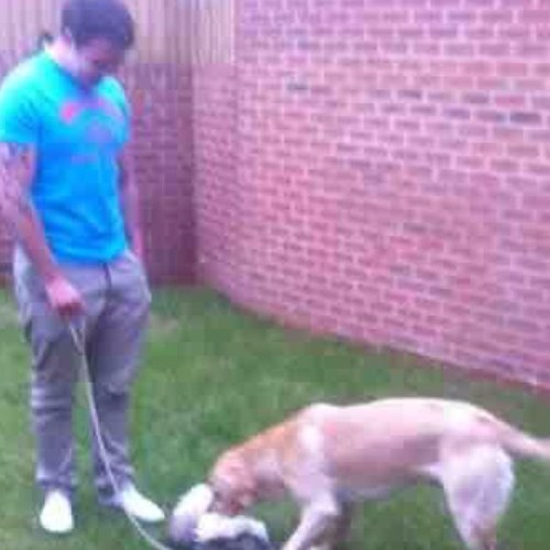 tom_d4v135's profile picture. 