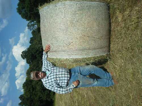 Farmer,all around nice guy in east Al.