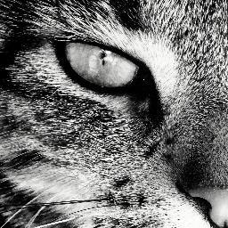 24, Herthanerin und Karnevalsliebhaberin