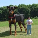 Steve Binns - @stevebinns500 - Twitter