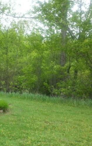 EddyNebulizered's profile picture. Teacher and Mentor,
Director Neofolio,
Director NSM,
Enthusiast Photographer