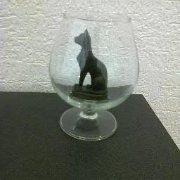 RaulGBaez's profile picture. 