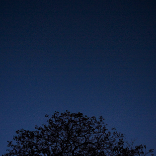 auraldelmoral's profile picture. Diseñador gráfico editorial | Fotógrafo | Cofundadora de DuplaOnce @duplaonce