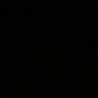Daan Berkhout (@daan023) 's Twitter Profile