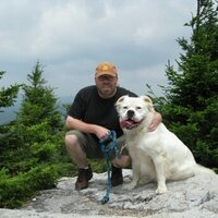 george hack (@ghack102562) 's Twitter Profile