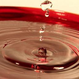 AzizGoughlane's profile picture. 