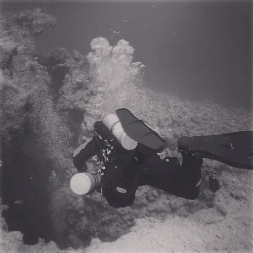 FReeCaRVR's profile picture. 