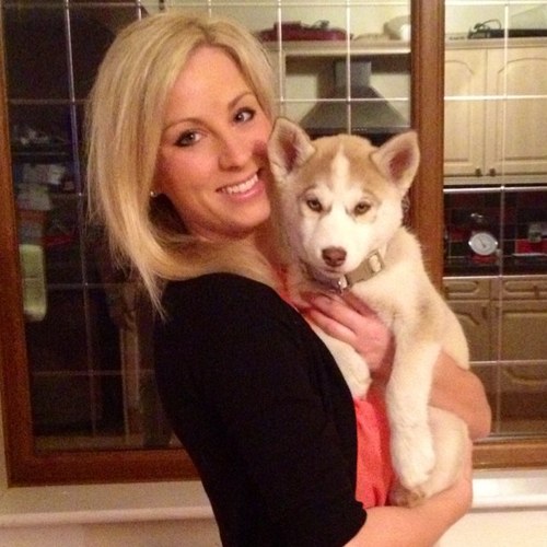 aabbeeyy's profile picture. Horse owner/rider. Love eventing. Husky owner. Work at @swiftclean @costacoffee fan. London 2012 Gamesmaker