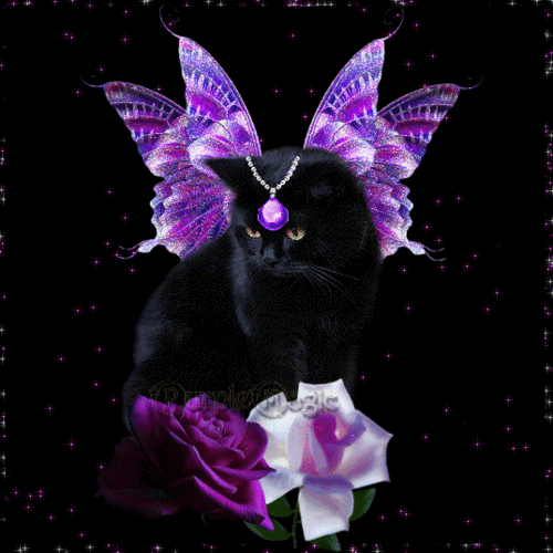 a rose has thorns...a cat has claws...certainly both are worth the risk=°•°=