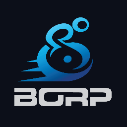 BORP_org Profile Picture