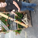 Matthew Trail - @konwolf23 - Twitter