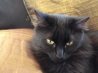 Cpirmez's profile picture. 