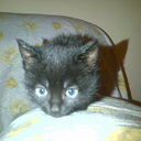 zainab rose Garrett - @zainabrgarrett - Twitter