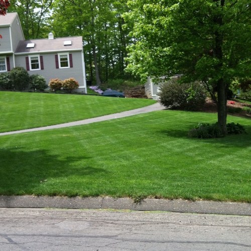 Russling00's profile picture. CT