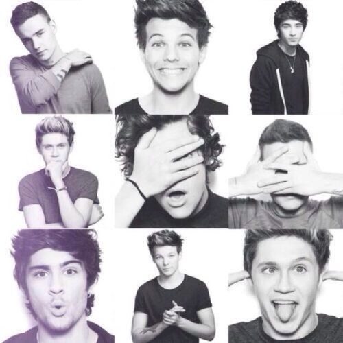 CATS AND HARRY STYLES BYE