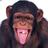 CondeGarchaldi's profile image