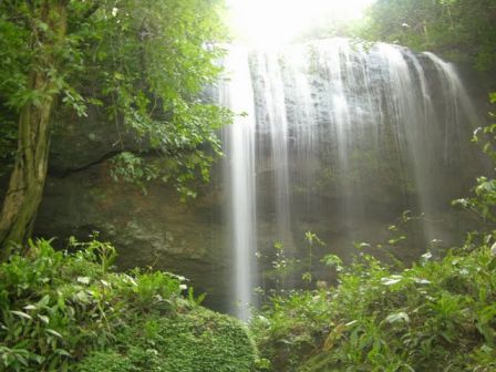 finca_elvesubio's profile picture. Finca Agroecológica