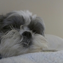 Peggy Winton - @peggy_winton - Twitter