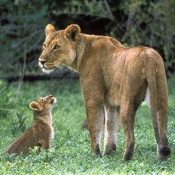 Dalvina37's profile picture. 