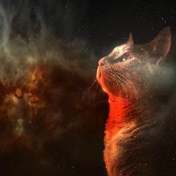 lilbunnysusu's profile picture. It doesn't matter where you come from, it only matters where you go from there.